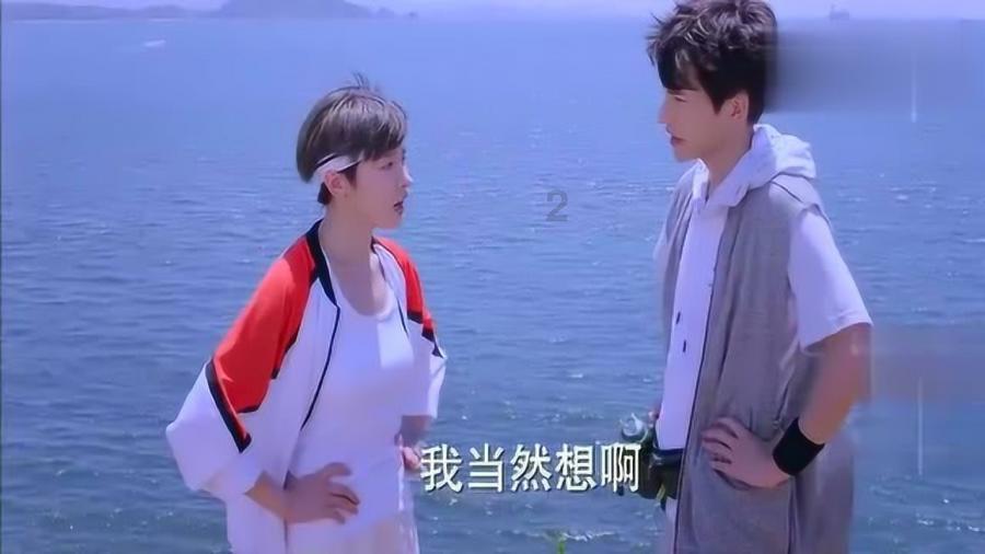 《中央之美者有岱岳》新书发布