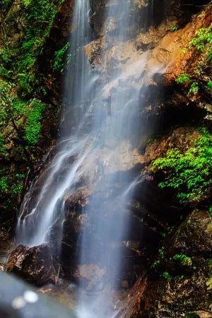 逃离水虎鱼湖
